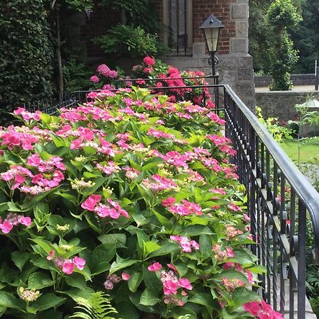 La Villa Des Roses دربي المظهر الخارجي الصورة